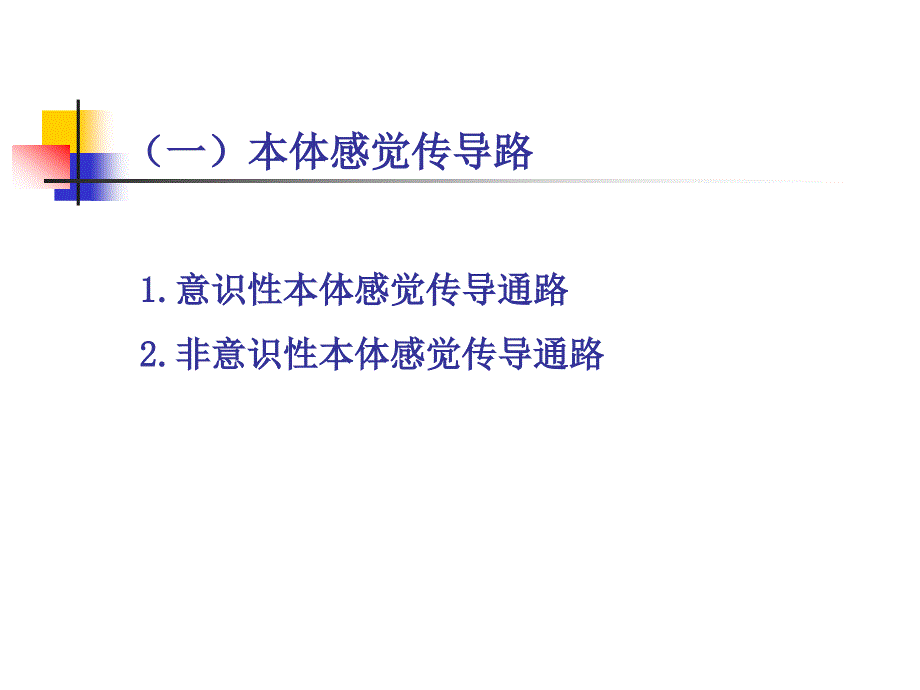 神经系统的传导通路同名106课件_第4页