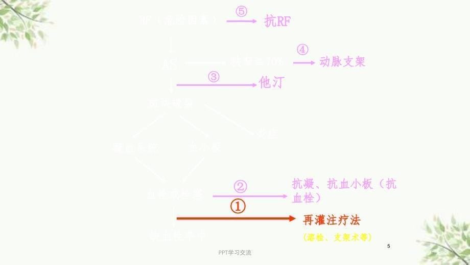 急性缺血性脑卒中溶栓规范治疗培训 ppt课件_第5页