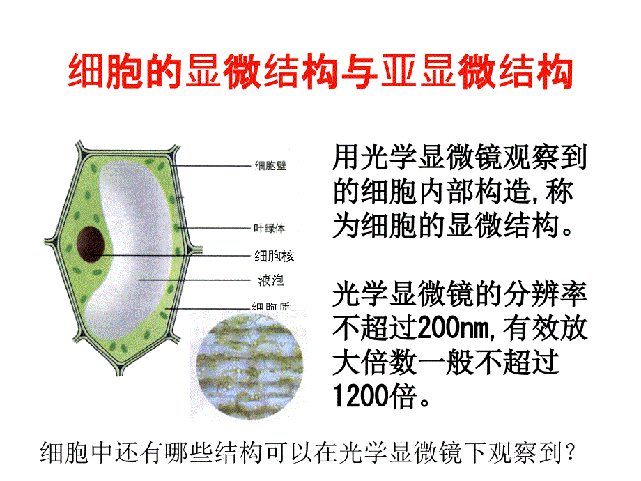 细胞的显微结构与亚显微结构_第1页