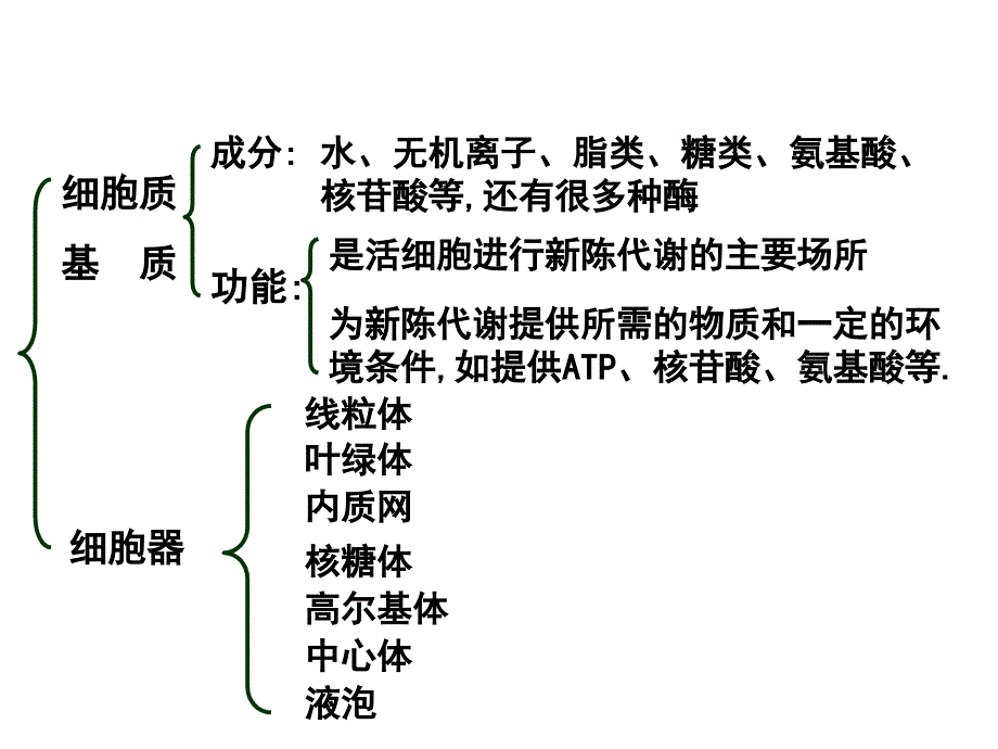 细胞的显微结构与亚显微结构_第4页