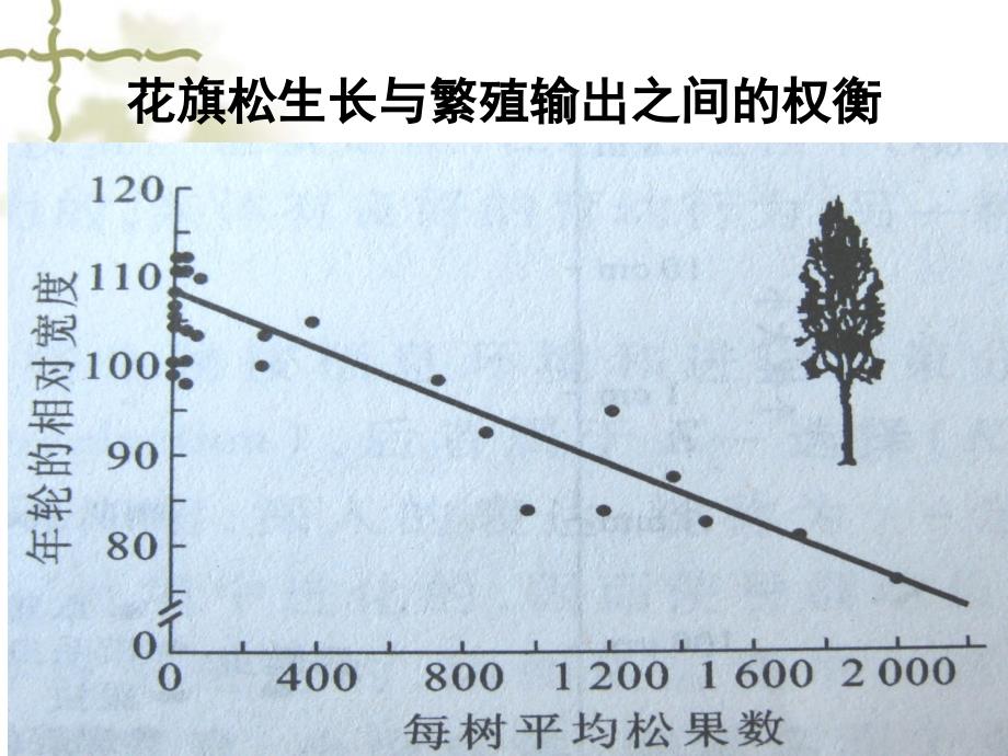 生态学生活史课件_第4页