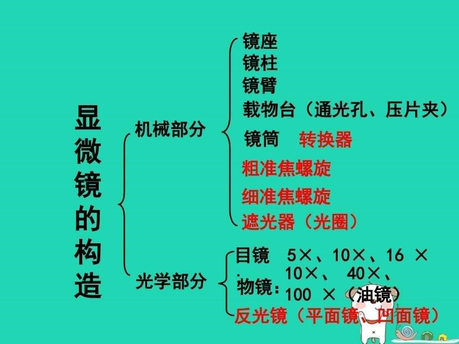 2018_2019年七年级生物上册第二单元第一章第1节练习使用显微镜课件（新版）新人教版_第5页