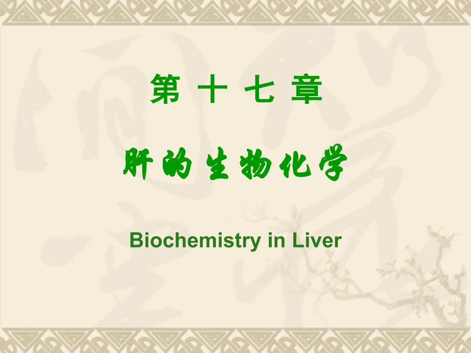 第十七章肝的生物化学_第1页