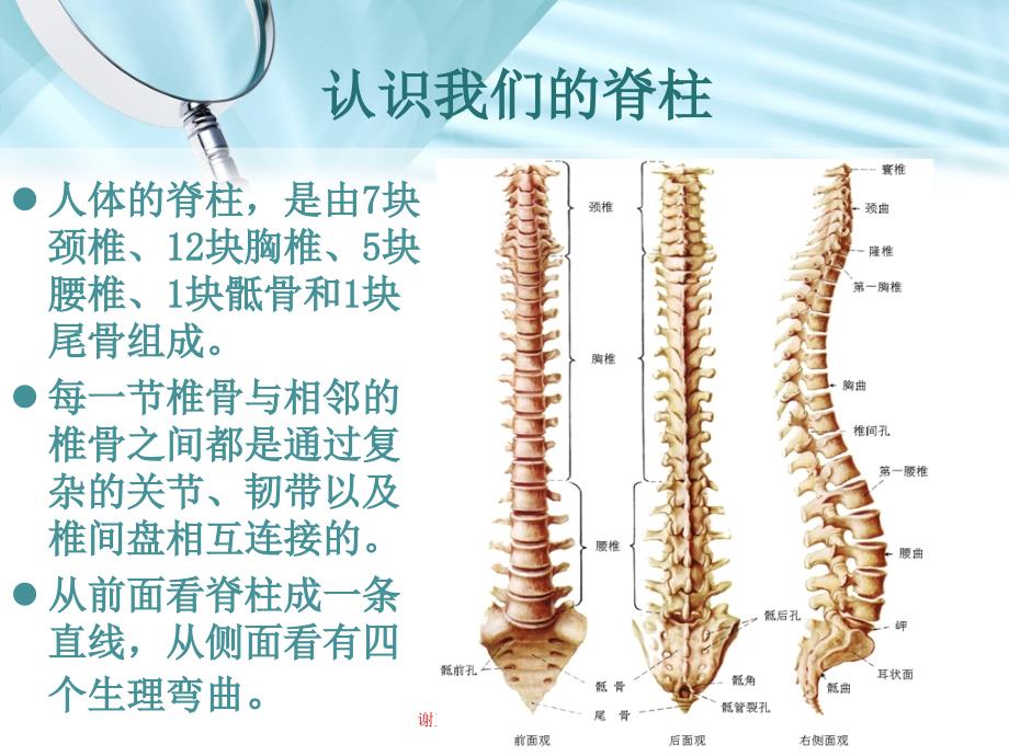 脊柱管理精选文档_第3页