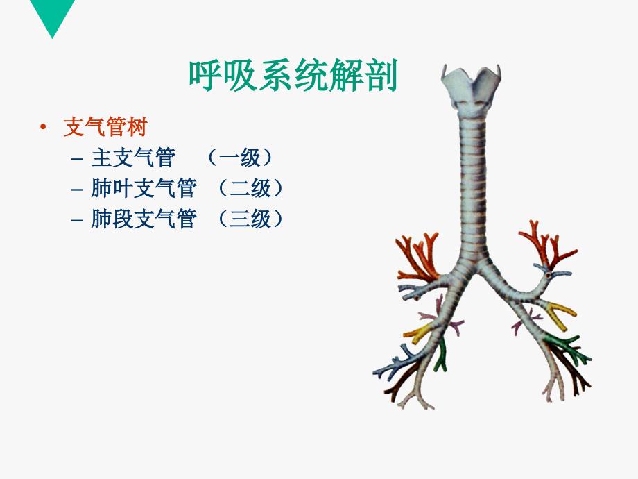 核医学呼吸系统_第4页