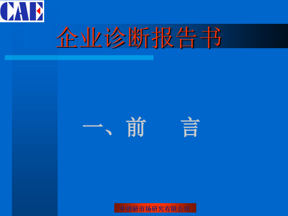 XX公司企业诊断报告-201页_第3页