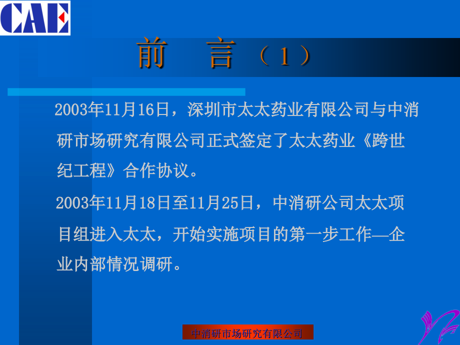 XX公司企业诊断报告-201页_第4页