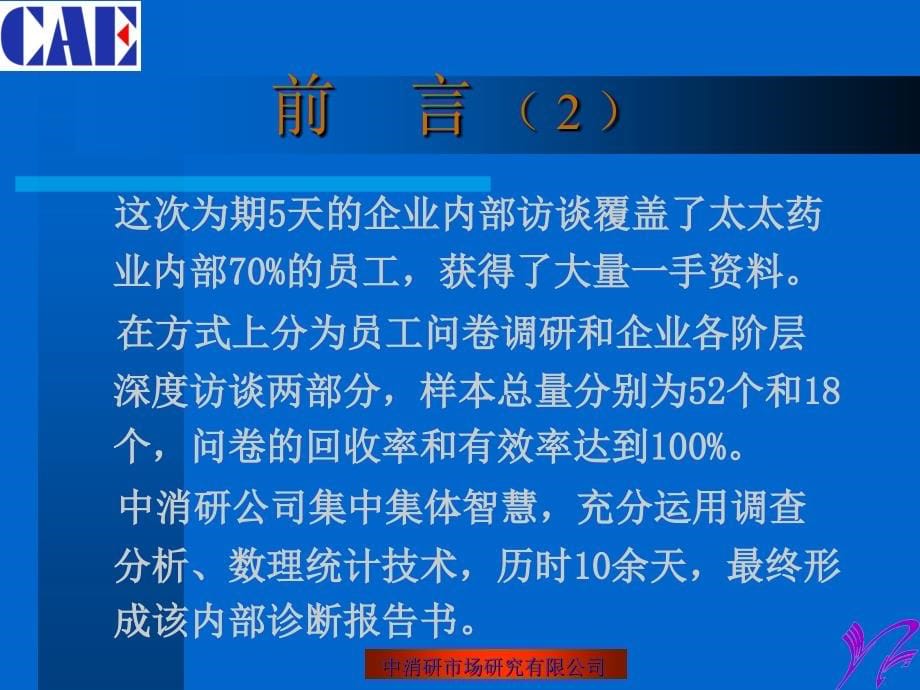 XX公司企业诊断报告-201页_第5页