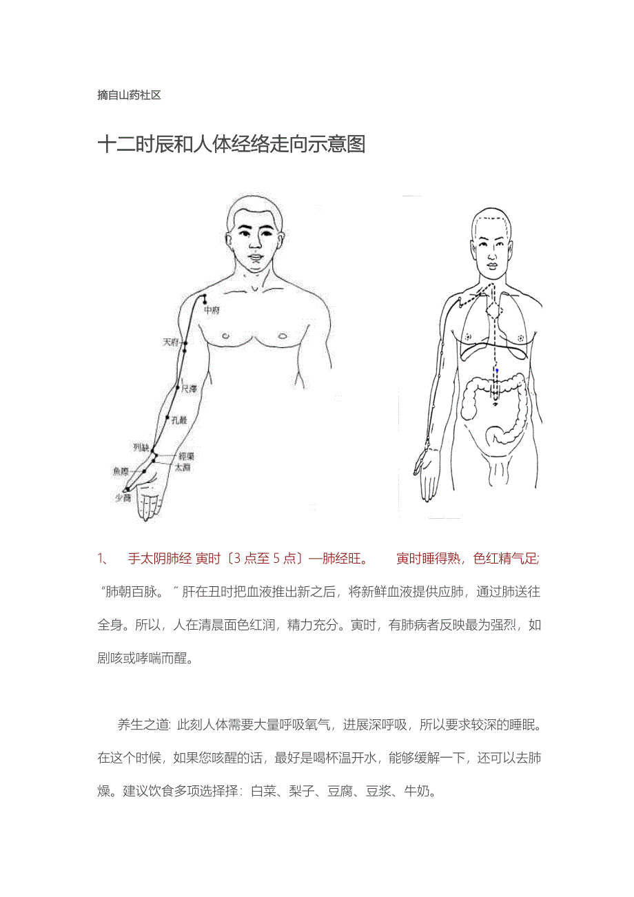 十二时辰和人体经络走向示意图_第1页