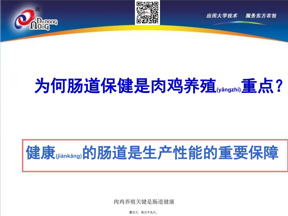 肉鸡养殖关键是肠道健康课件_第3页