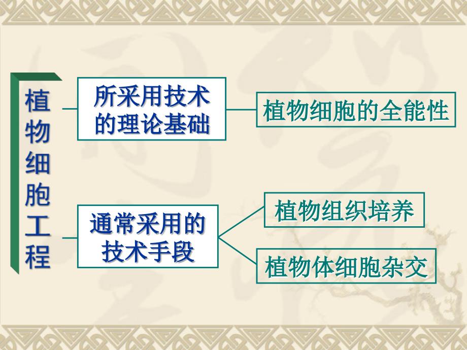 生物21植物细胞工程课件新人教版选修3_第1页