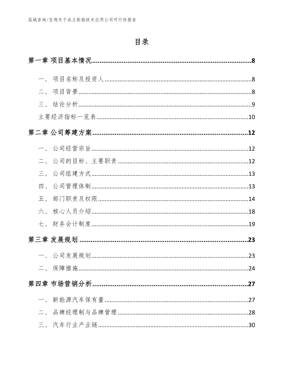 宝鸡关于成立轮胎技术应用公司可行性报告_第2页