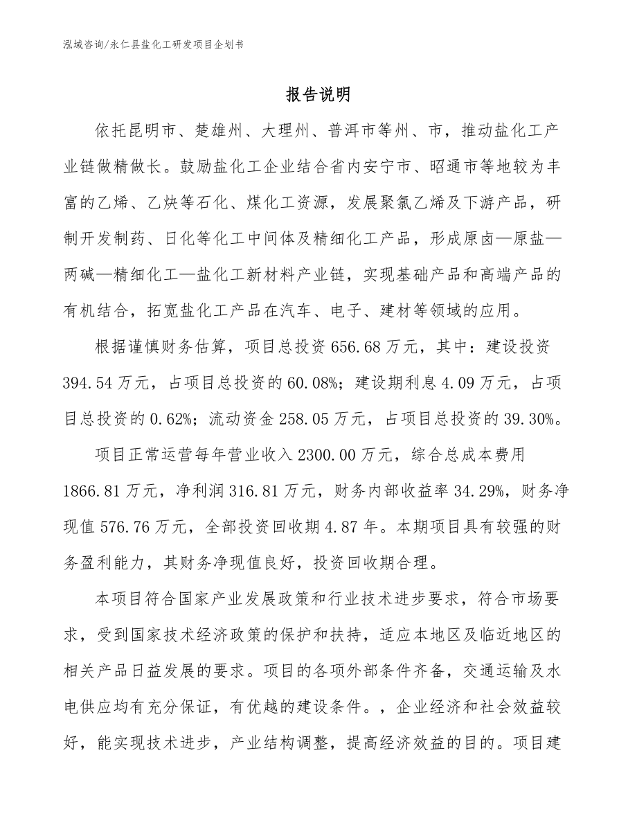 永仁县盐化工研发项目企划书_第1页