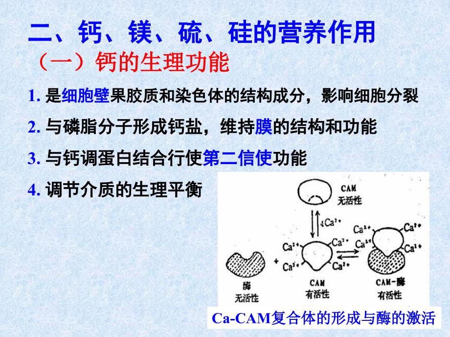 9植物的钙镁硫硅营养及钙镁硫硅肥_第4页