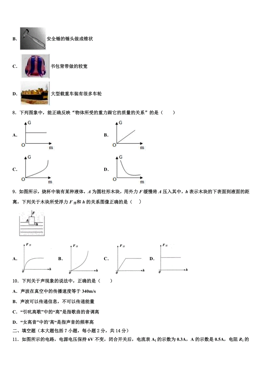 2023届江苏省海安县中考物理最后冲刺浓缩精华卷含解析_第3页