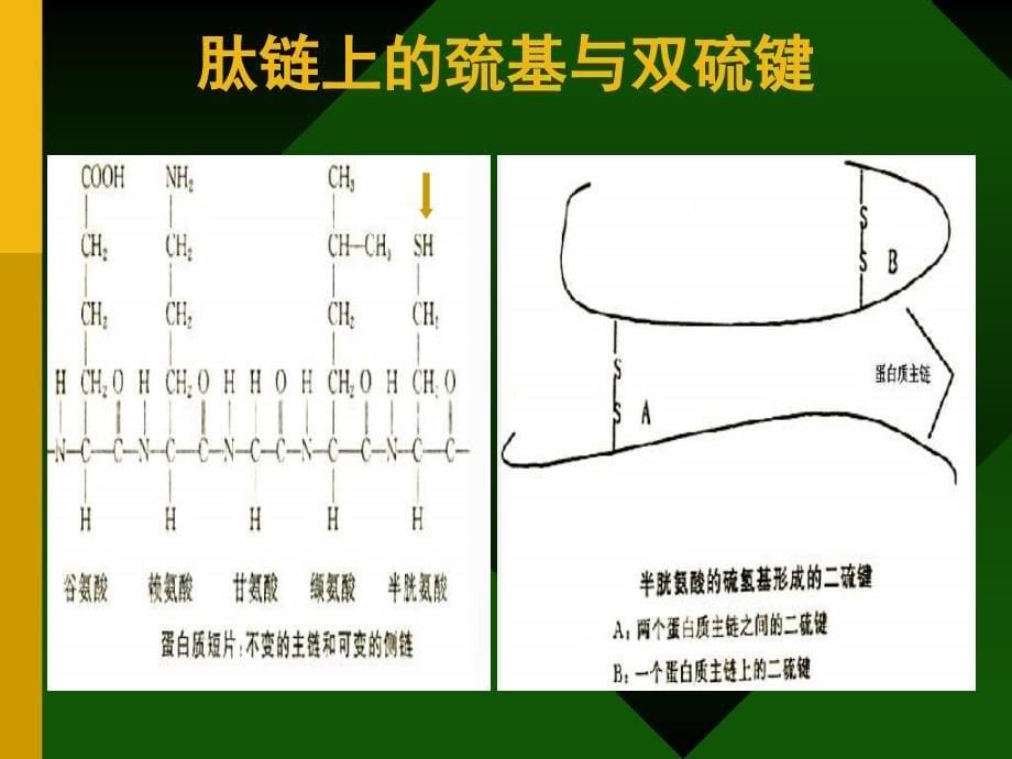 面粉处理剂课件_第5页