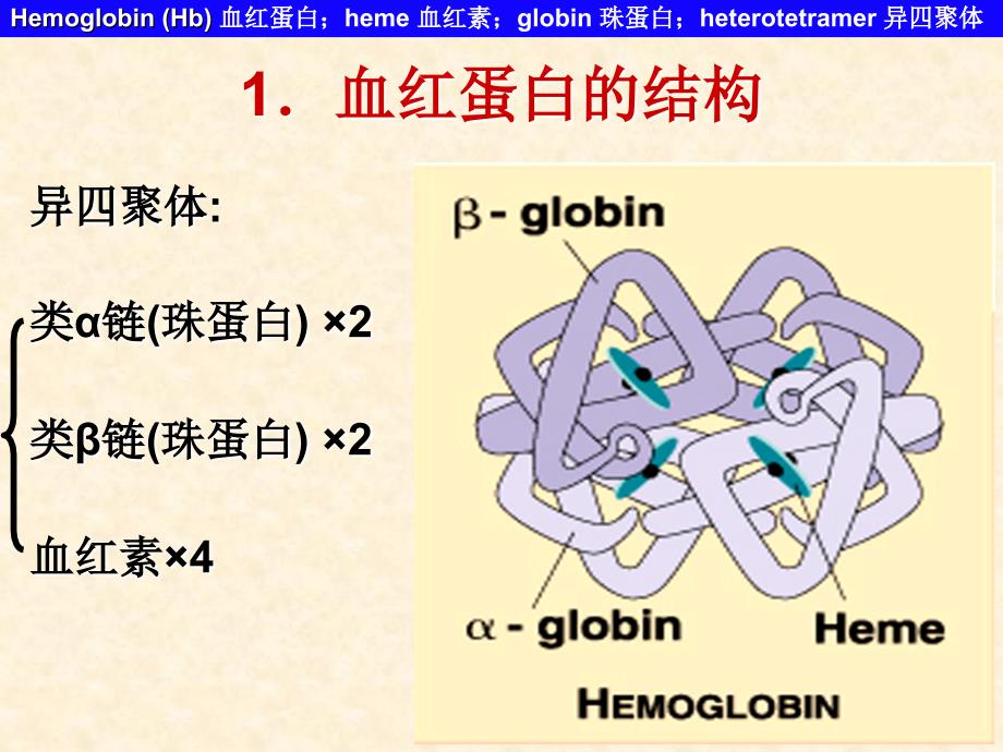 医学遗传学：第九章 分子病与先天性代谢缺陷病_第4页