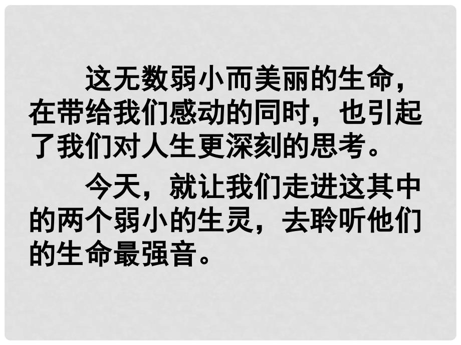 山东省潍坊高新区浞景学校七年级语文上册 18 短文两篇 蝉课件 （新版）新人教版_第3页