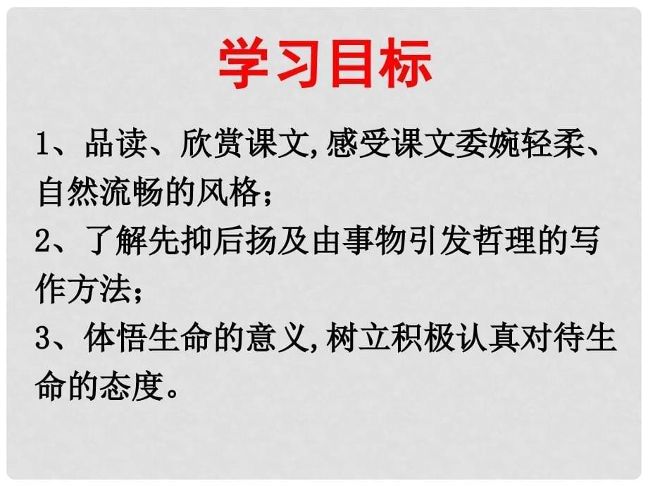 山东省潍坊高新区浞景学校七年级语文上册 18 短文两篇 蝉课件 （新版）新人教版_第5页