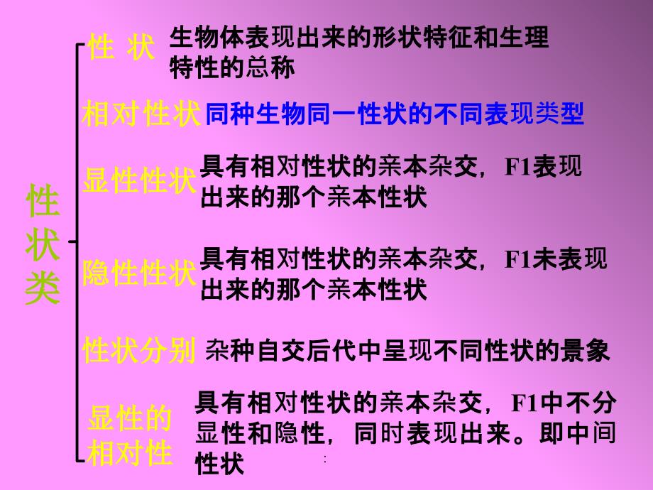 基因的分离定律1ppt课件_第3页