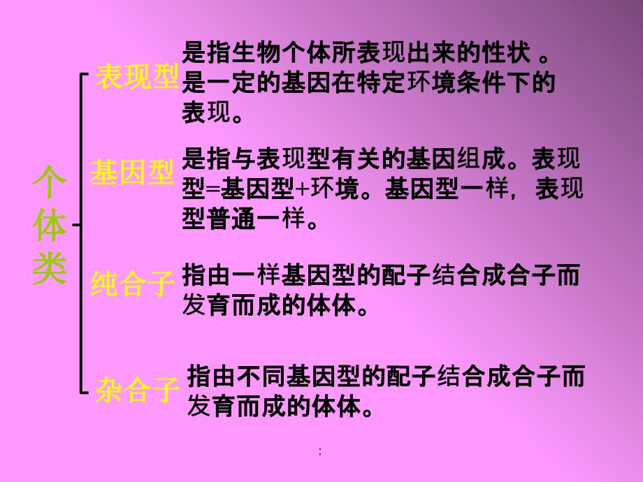 基因的分离定律1ppt课件_第4页