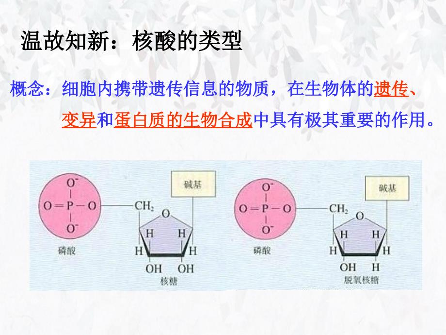 选三专题一基因工程_第2页