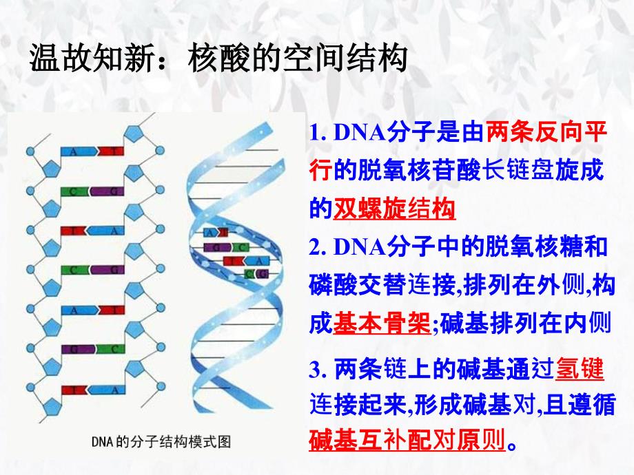 选三专题一基因工程_第3页