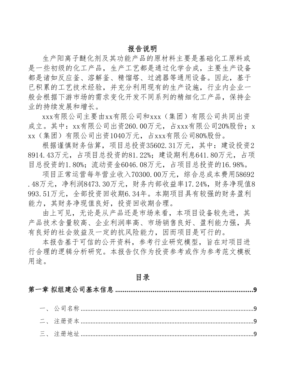 阜阳关于成立醚化剂公司可行性研究报告(DOC 82页)_第2页