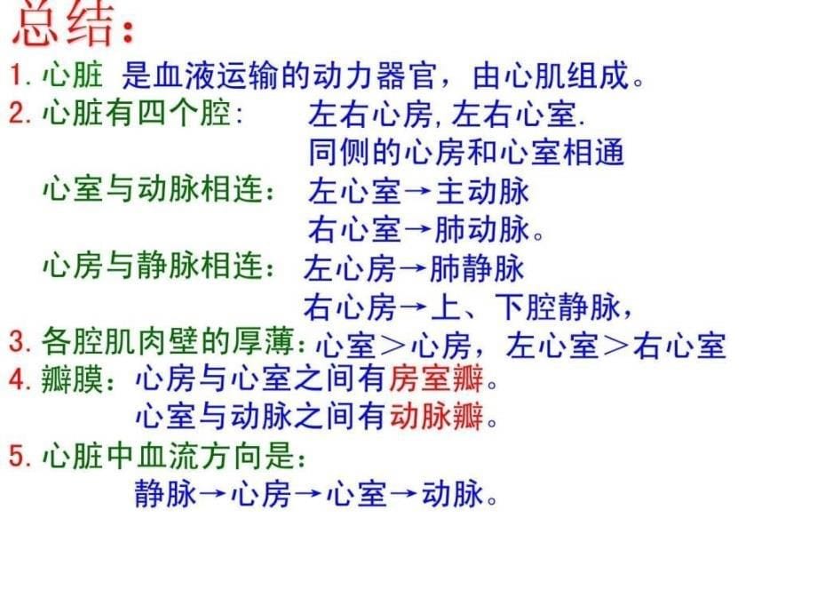 22.课件心脏和血液循环图文.ppt_第5页