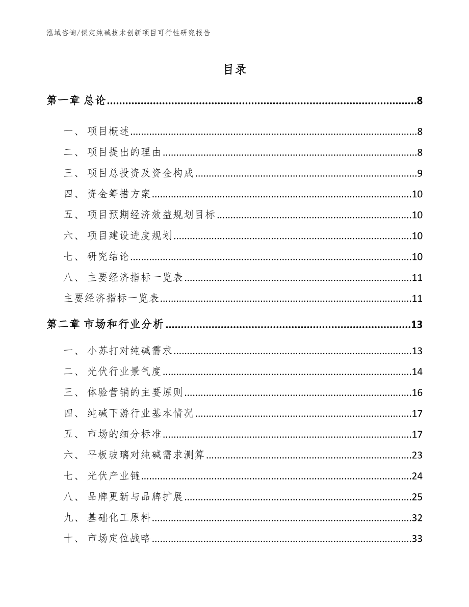 保定纯碱技术创新项目可行性研究报告_模板范本_第2页