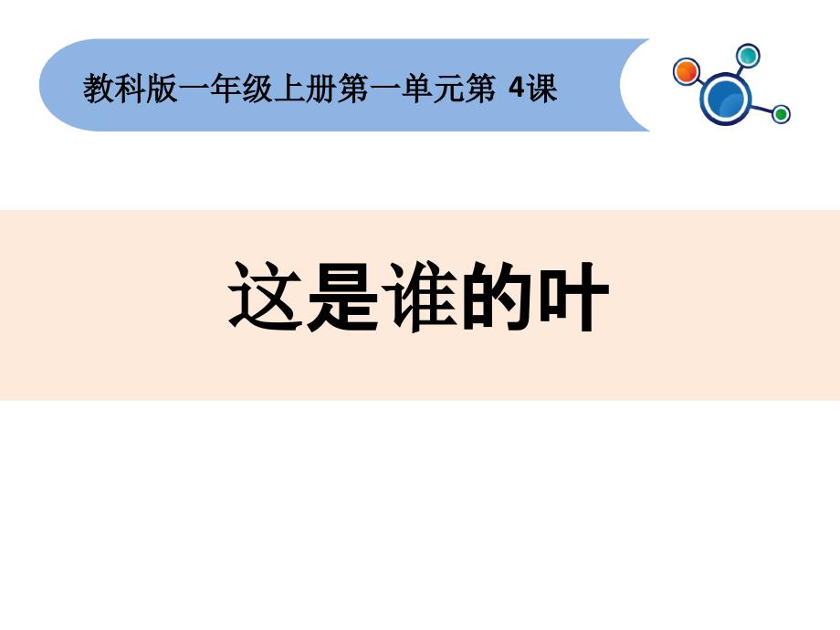 一年级上册科学课件14这是谁的叶7l教科版共13张_第1页