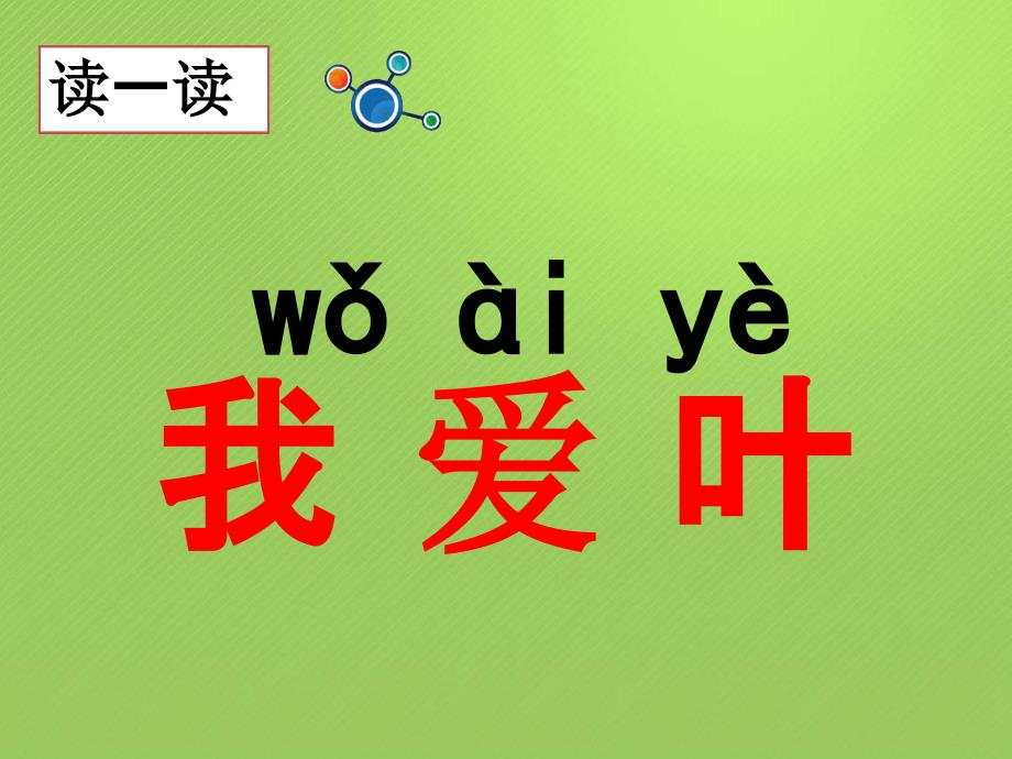 一年级上册科学课件14这是谁的叶7l教科版共13张_第2页