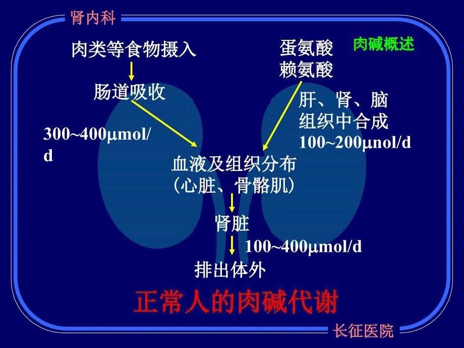 3雷卡在尿毒症透析患者中的应用(梅长林_第5页