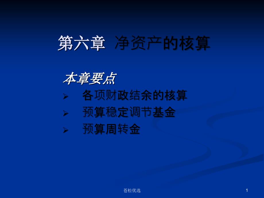 第六章财政总预算会计的净资产【基础资料】_第1页