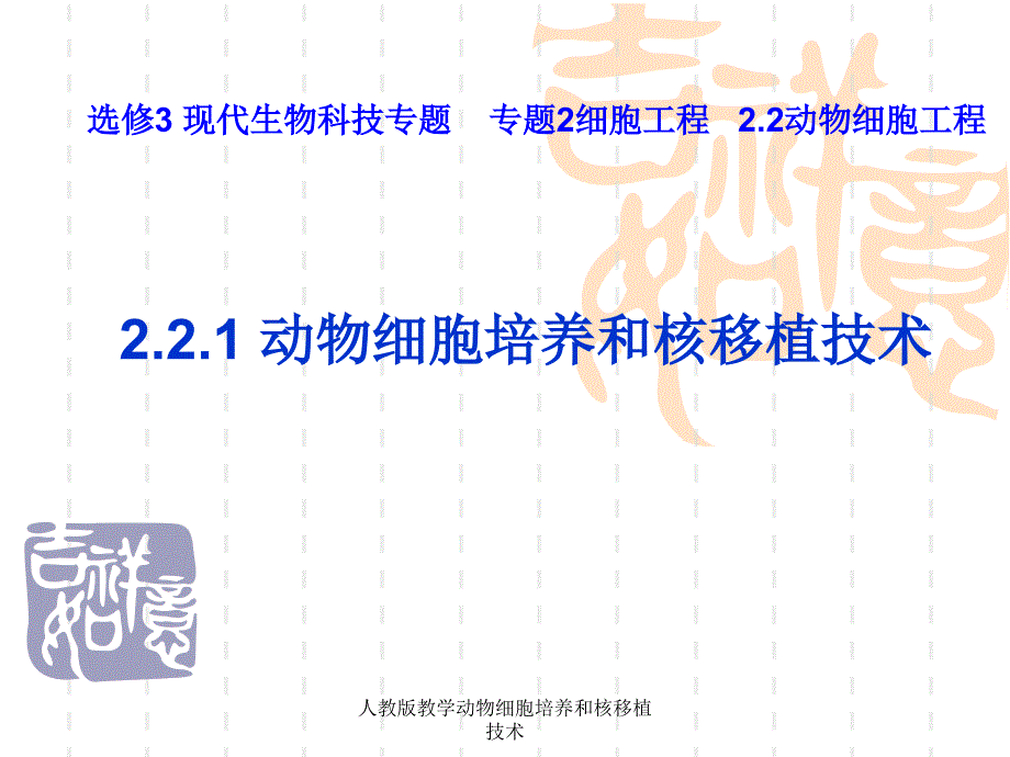 人教版教学动物细胞培养和核移植技术课件_第3页