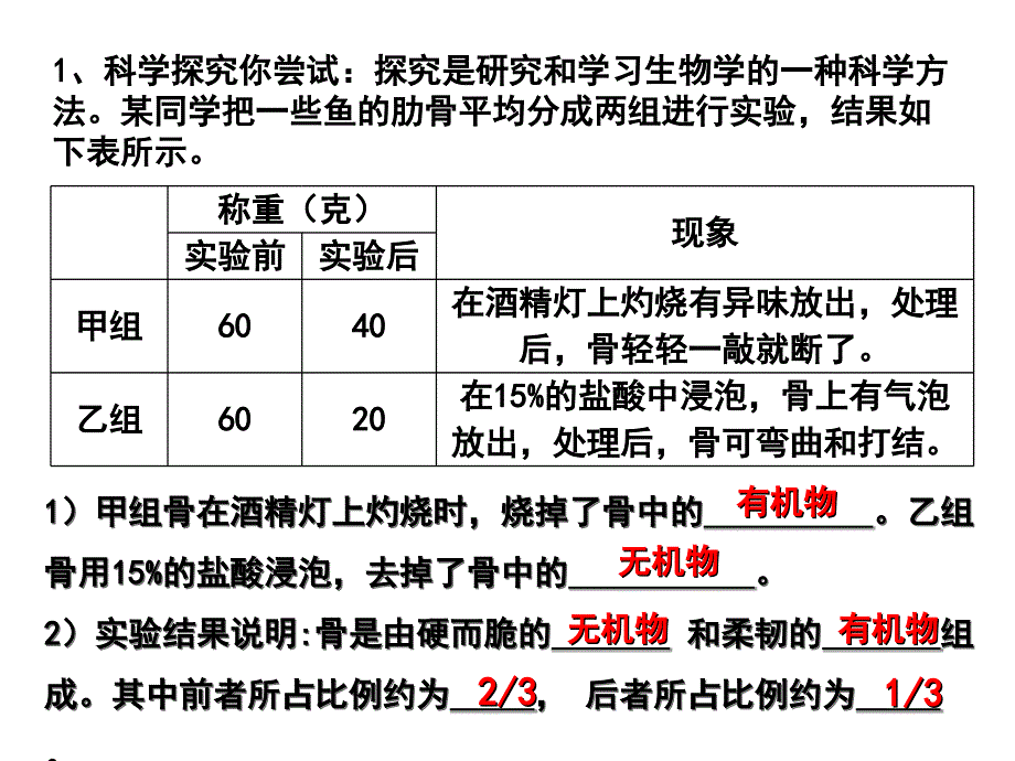 第一节动物的运动4(年9月16日精品教育_第3页