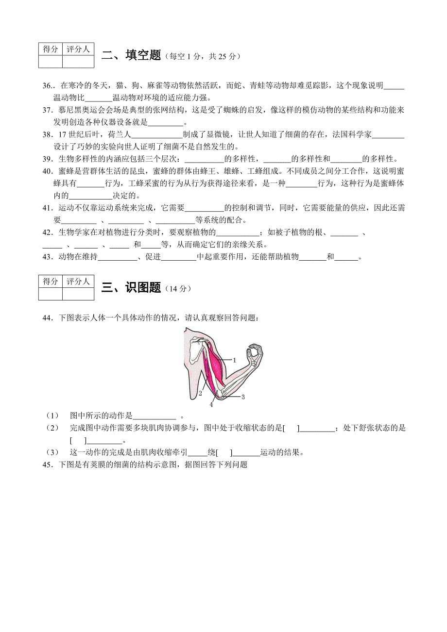 四川省宜宾县期八年级生物期末考试试卷_第4页