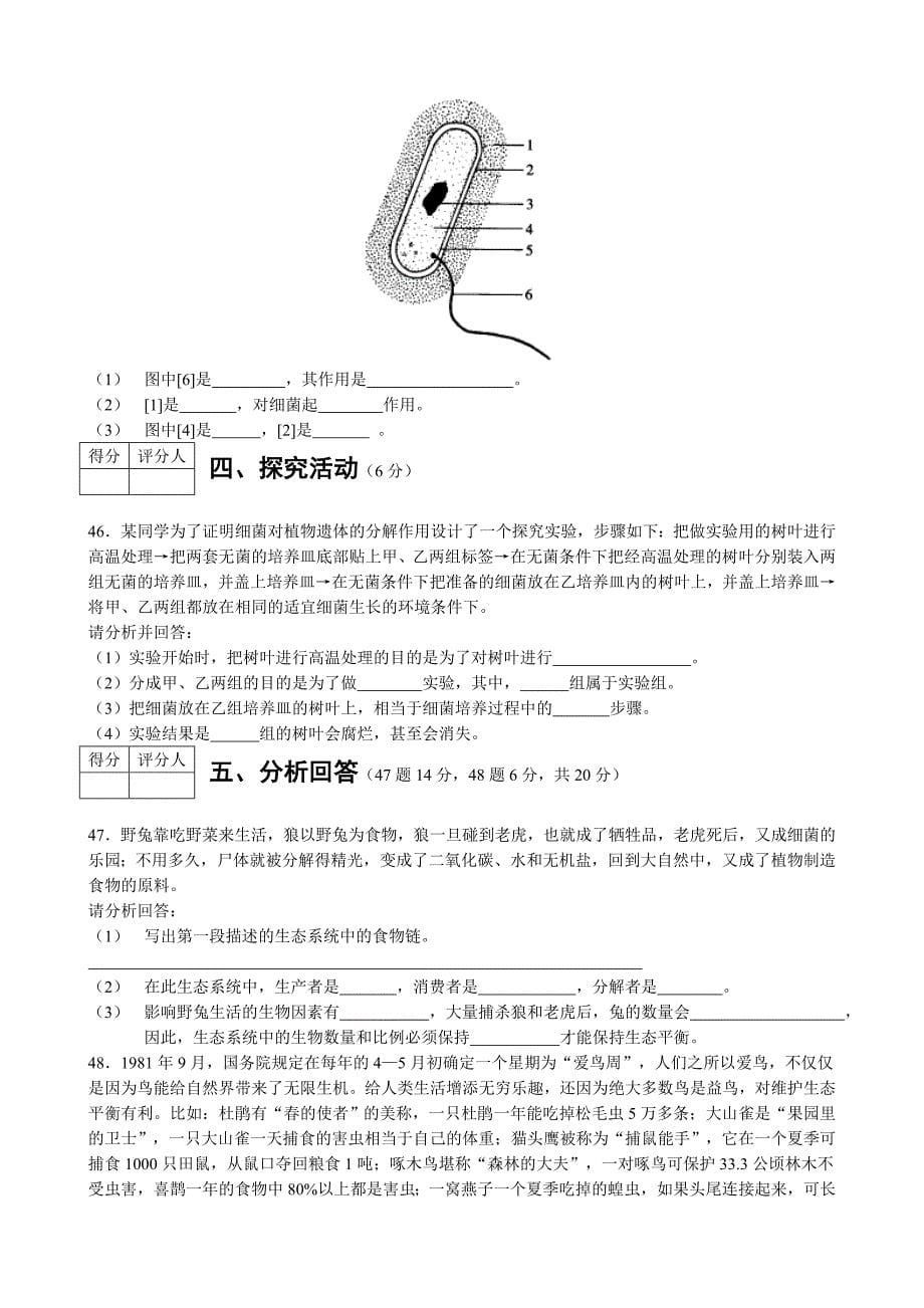 四川省宜宾县期八年级生物期末考试试卷_第5页
