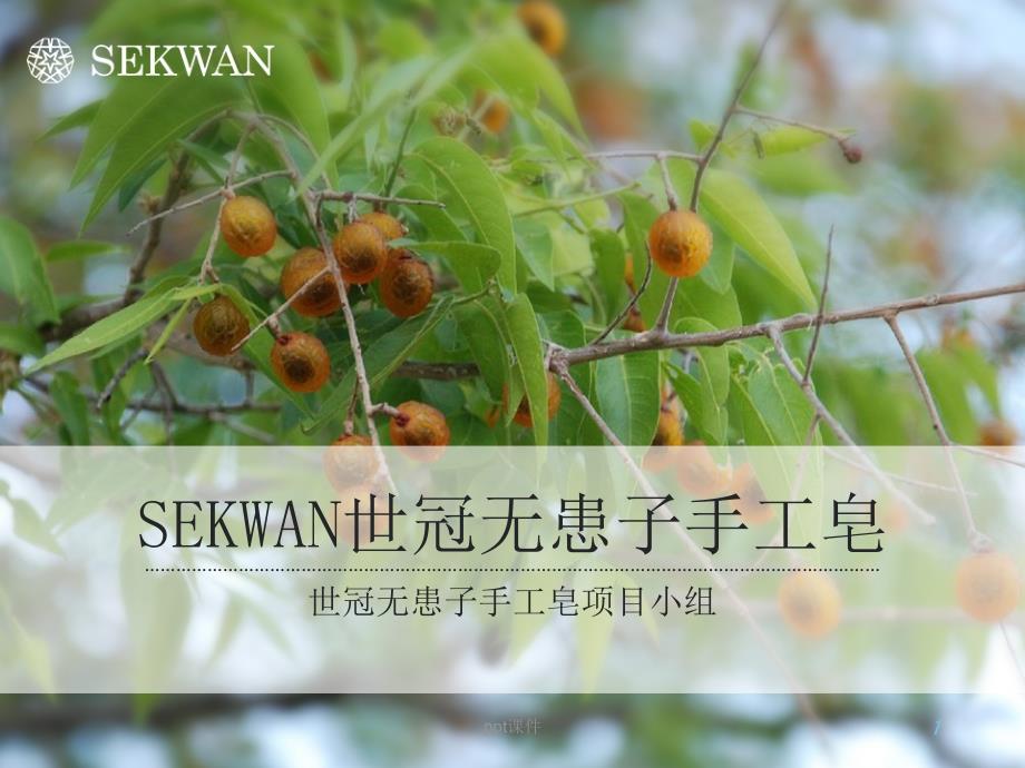 sekwan世冠无患子手工皂介绍--课件_第1页