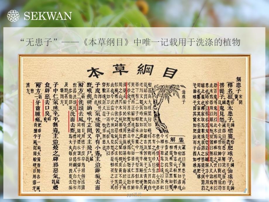 sekwan世冠无患子手工皂介绍--课件_第2页