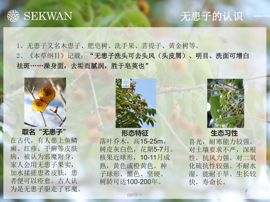 sekwan世冠无患子手工皂介绍--课件_第4页