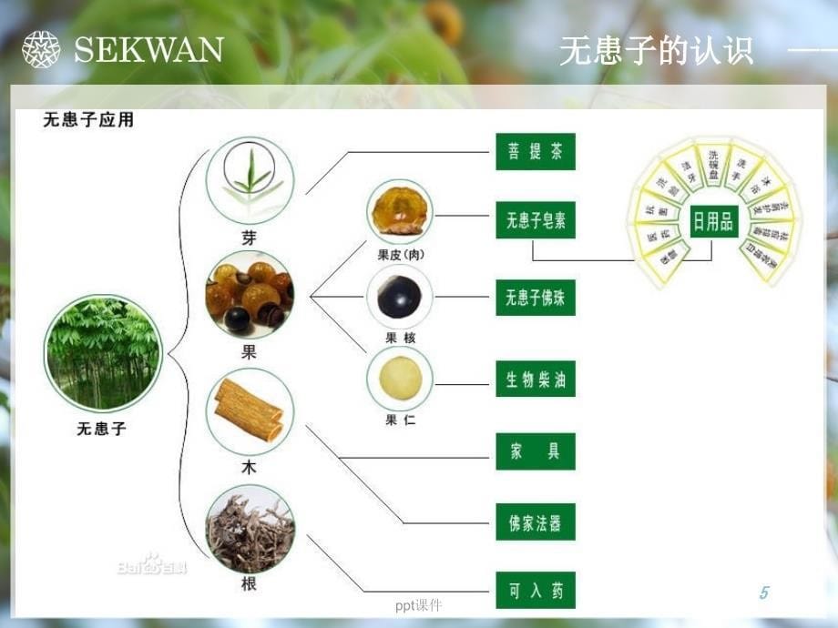 sekwan世冠无患子手工皂介绍--课件_第5页