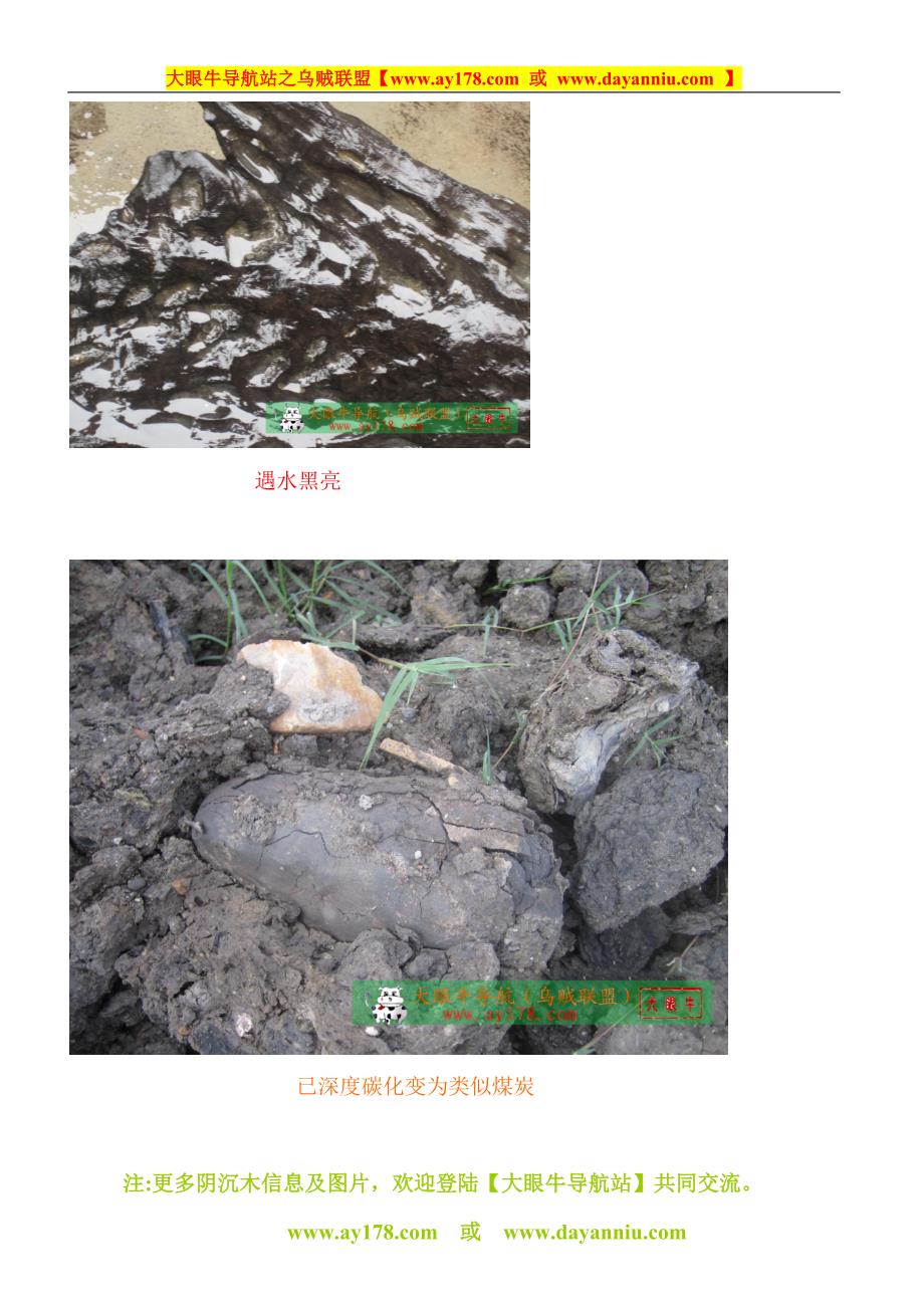 阴沉木(乌木)鉴别方法小口诀【形、色、味、特】.doc_第5页