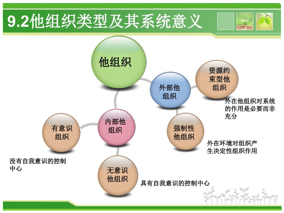 他组织系统理论通用课件_第4页