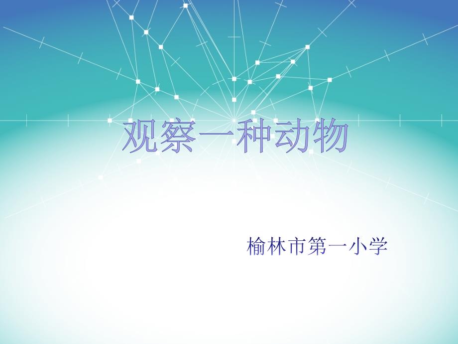 教科版一年级科学下册二3.观察一种动物_第1页