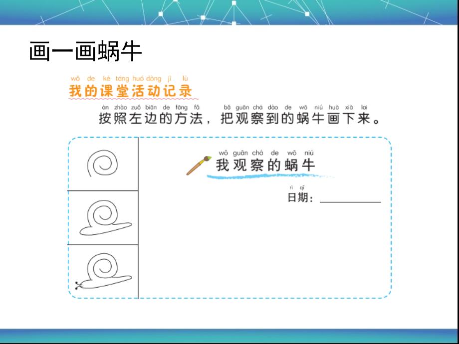 教科版一年级科学下册二3.观察一种动物_第4页