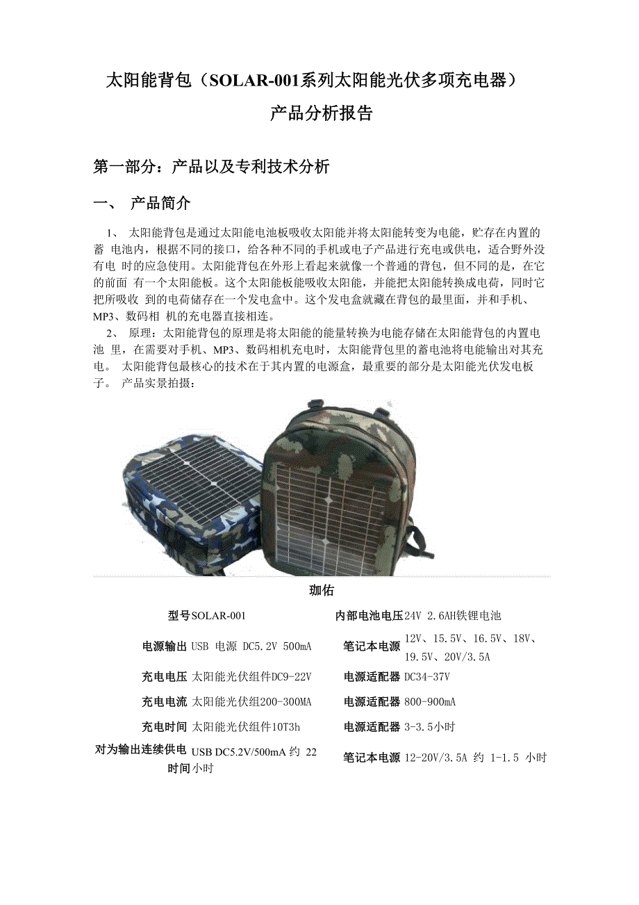 背包项目可行性分析_第1页