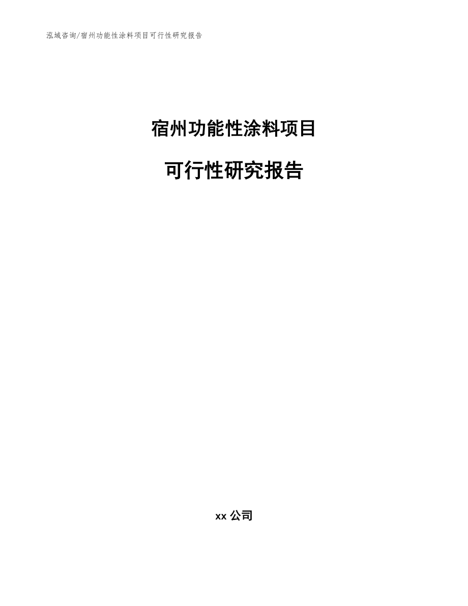 宿州功能性涂料项目可行性研究报告模板_第1页