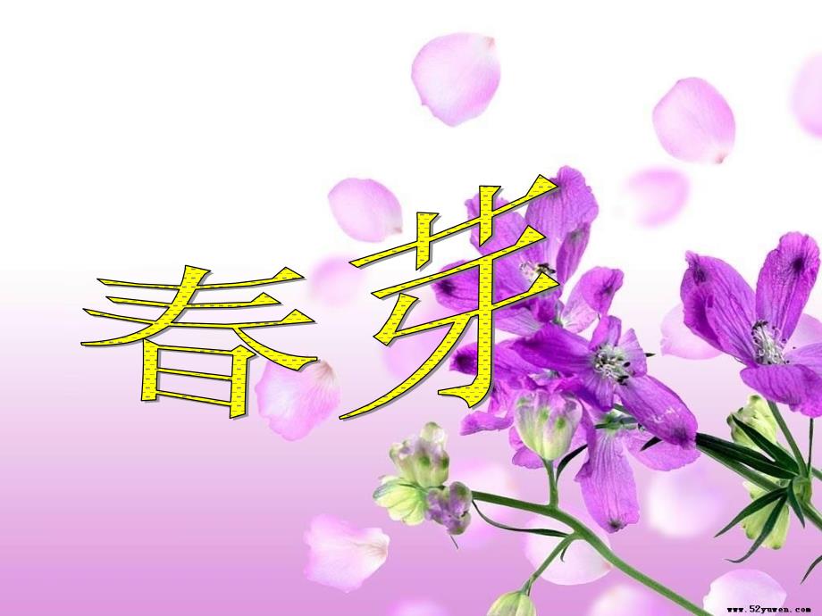 第二板块春芽_第1页