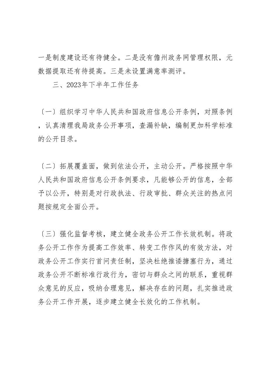 2023年政务公开工作总结材料.doc_第5页